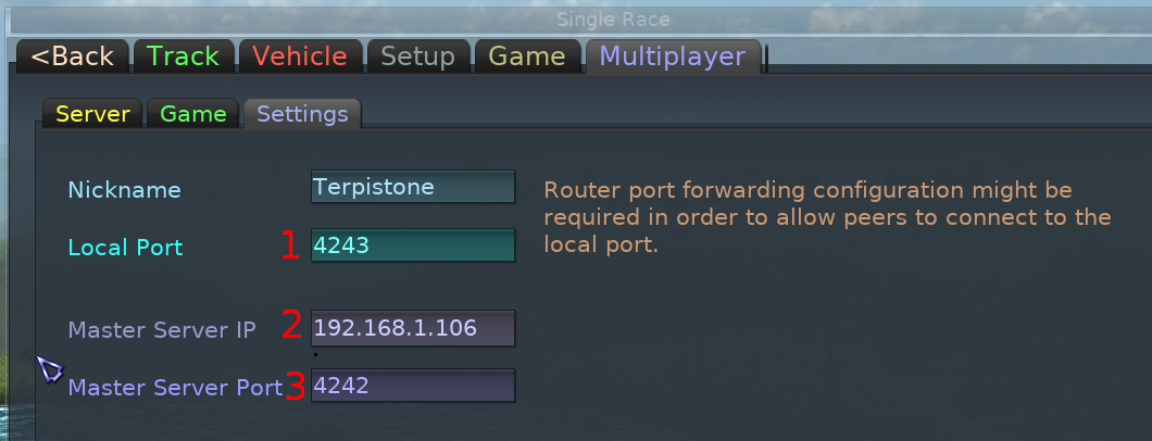 Multiplayer > Settings
